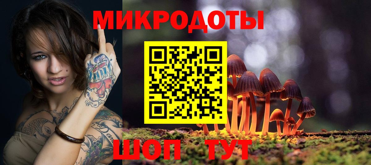 Галлюциногенные грибы Psilocybine cubensis  Вход с VPN  Псилоцибиновые грибы Cubensis  Елец 